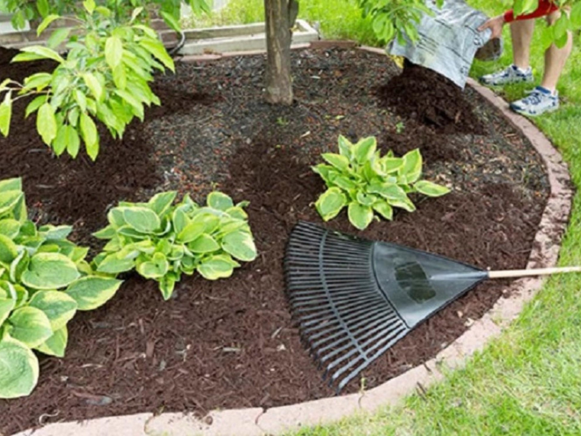 Commercial Ride On Lawnmowing Business Se... for sale in Chelsea