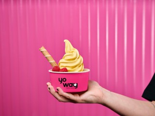 Yo Way Franchise: Unleash Your Entrepreneurial Spirit