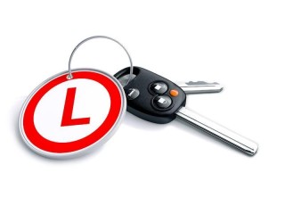 Established Work From Home Business