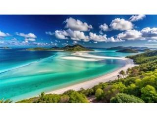 Hospitality Lease for Sale in Paradise: Beachside Bar Grill