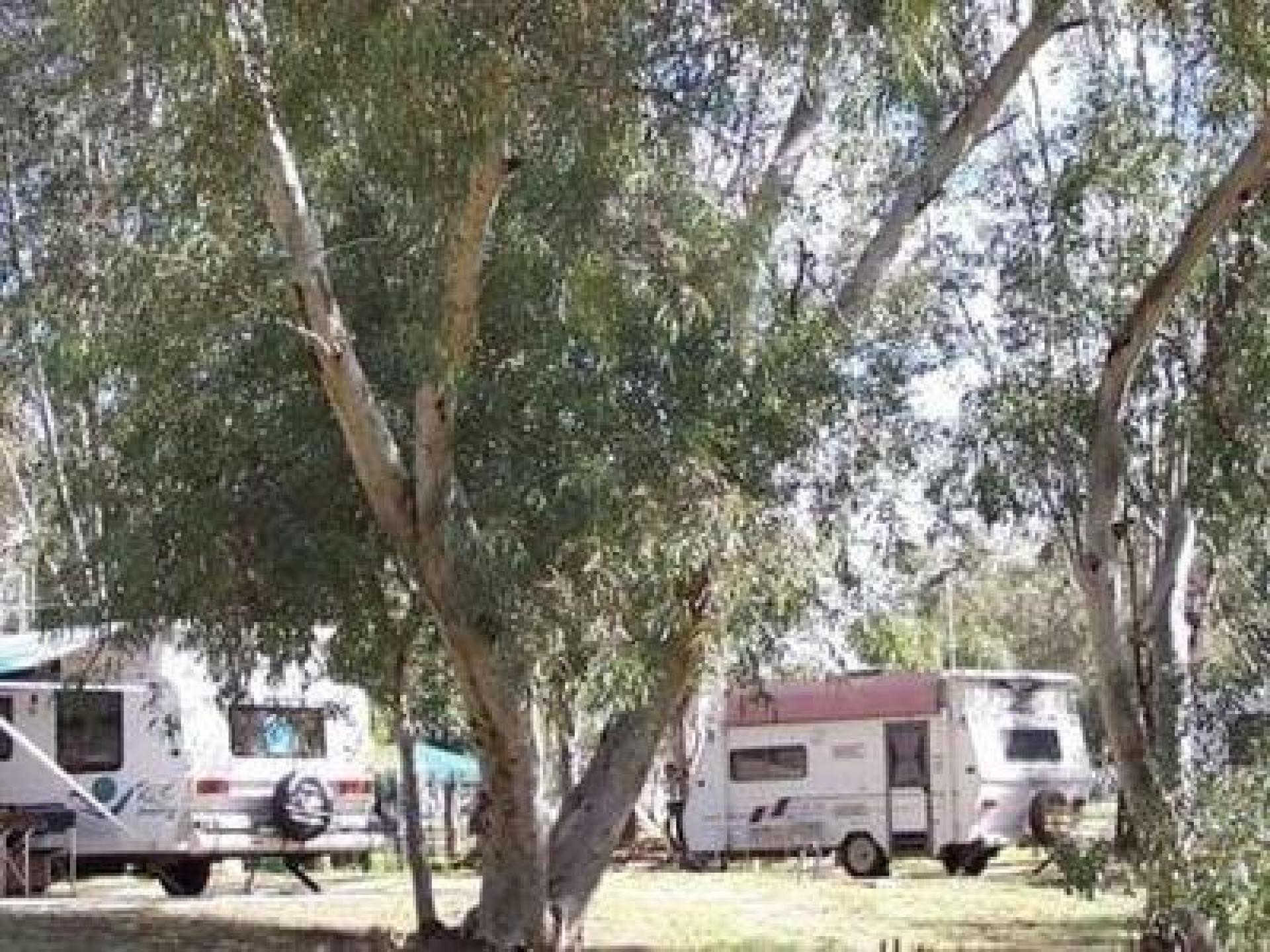 Mingenew Caravan Park Includes Freeh... for sale in Mingenew