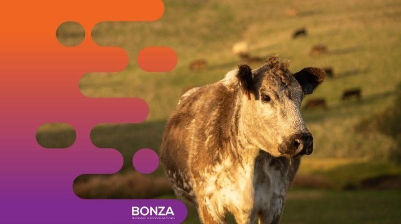 36071 Profitable Livestock Product 667601 3