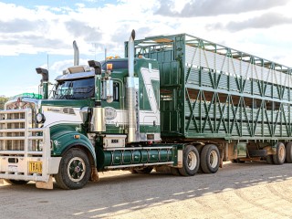 Highly Profitable Successful Livestock Transport Business for Sale In The Midwest WA