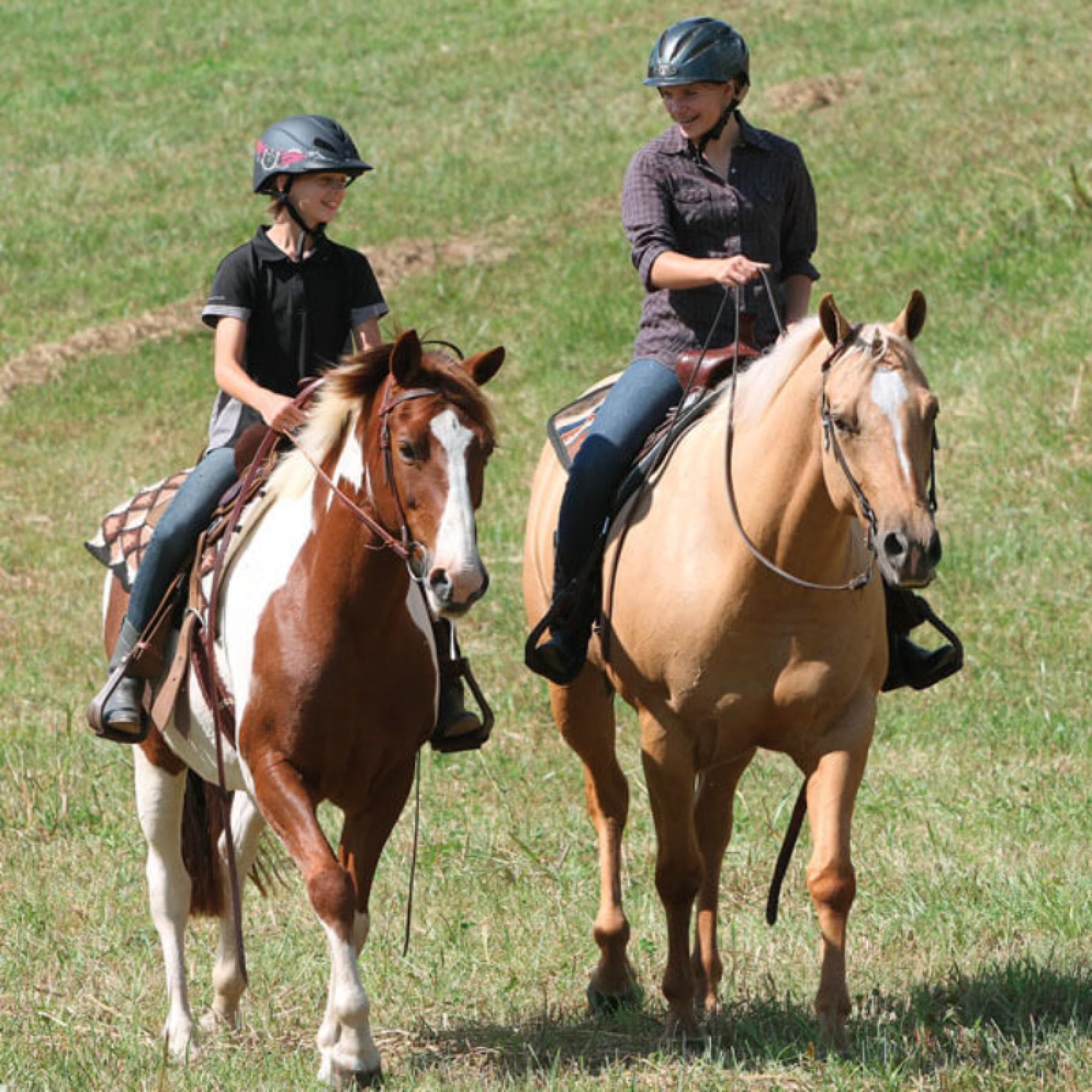 Qld Funded Rto. Long Rego And Massive... for sale in Brisbane