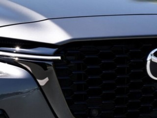 CAR RENTAL BUSINESS FOR SALE IN NORTHERN SUBURB OF MELBOURNE $250,000 +SAV