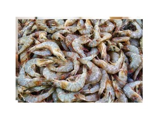 Aquaculture Farm - Under Management