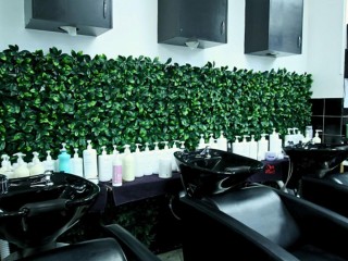 High Performing Hair Salon Business For Sale - Established for 20 Years - Prime Location Near Major Development - Loyal Clientele - No Local Competiti