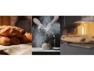 Commercial Bakery and Restaurant Equipment Supplier (GLJ2507)