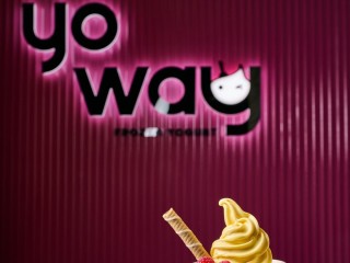 Yo Way Franchise: Unleash Your Entrepreneurial Spirit
