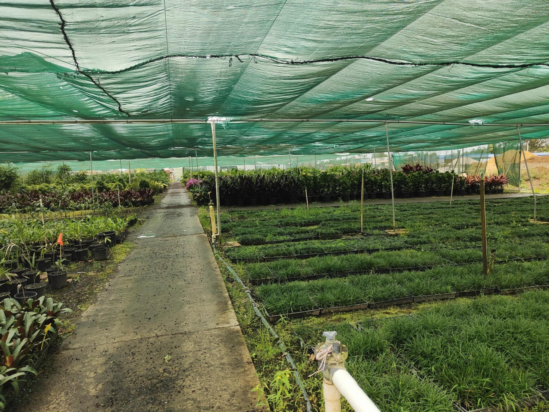 Leased Nursery And Spa 667608 3