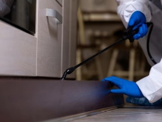 33024 Growing & Profitable Pest Control Business - 20+ Years