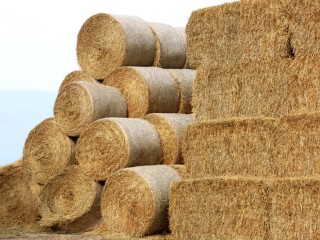 Profitable Agri-Supply Business – Long-Established, Strong Community Base