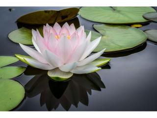 Prime Skin & Medi-Spa Clinic in Brisbane