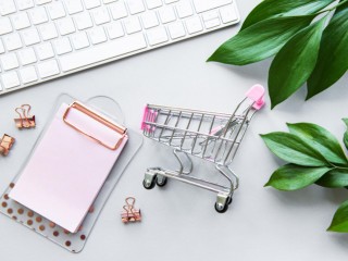 Highly Scalable, Automated, and Established Online Brand For Sale #5231RE