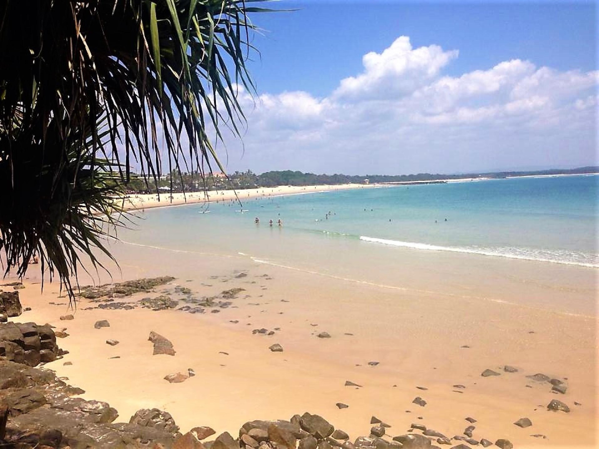 High Demand Carpet Cleaning And Pest... for sale in Southport