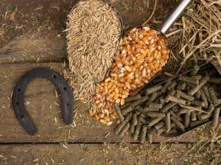 35082 - 35082 Established e-Commerce Business - Profitable Technology Sector