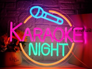 Trading 3 nights Karaoke Bar Lifestyle Income Sea Change Opportunity East Coast Tasmania