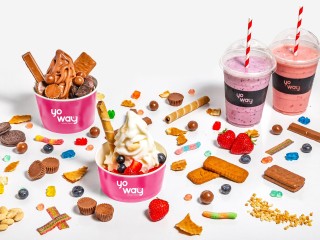Invest in Yo Way: Premium Frozen Yogurt Franchise Opportunities