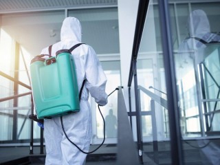 Established 27-Year Termite & Pest Control Business for Sale – Northern Rivers