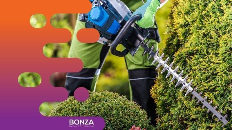 36196 Thriving Lawn & 670384 3