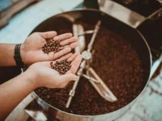 PRICE ON REQUEST | PREMIUM BOUTIQUE COFFEE ROASTER – NORTHERN NSW LIFESTYLE HUB VBA-2585