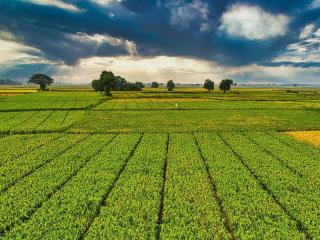 Global Leader in Broadacre Farming Machinery - 80% Sale 5898