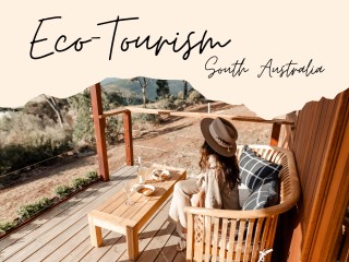 Eco-Luxury Retreat Business