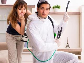 Reputable Pest Control Business - Strong Brand, Solid Profits & Loyal Clients