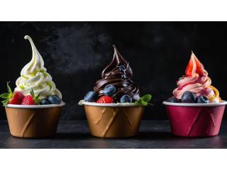 Thriving Frozen Yogurt Business for Sale  Tutti Frutti UWA