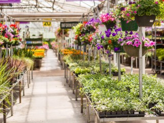 "Thriving Garden Centre & Nursery"