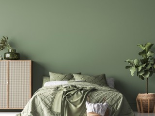 Business for Sale - Importer & Wholesaler