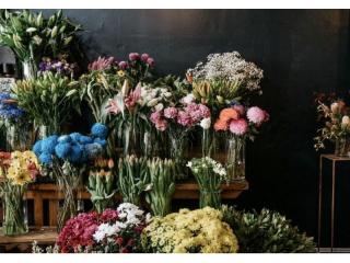 Established Highly Profitable Florist 6 Days Trade For Sale Sydney NSW