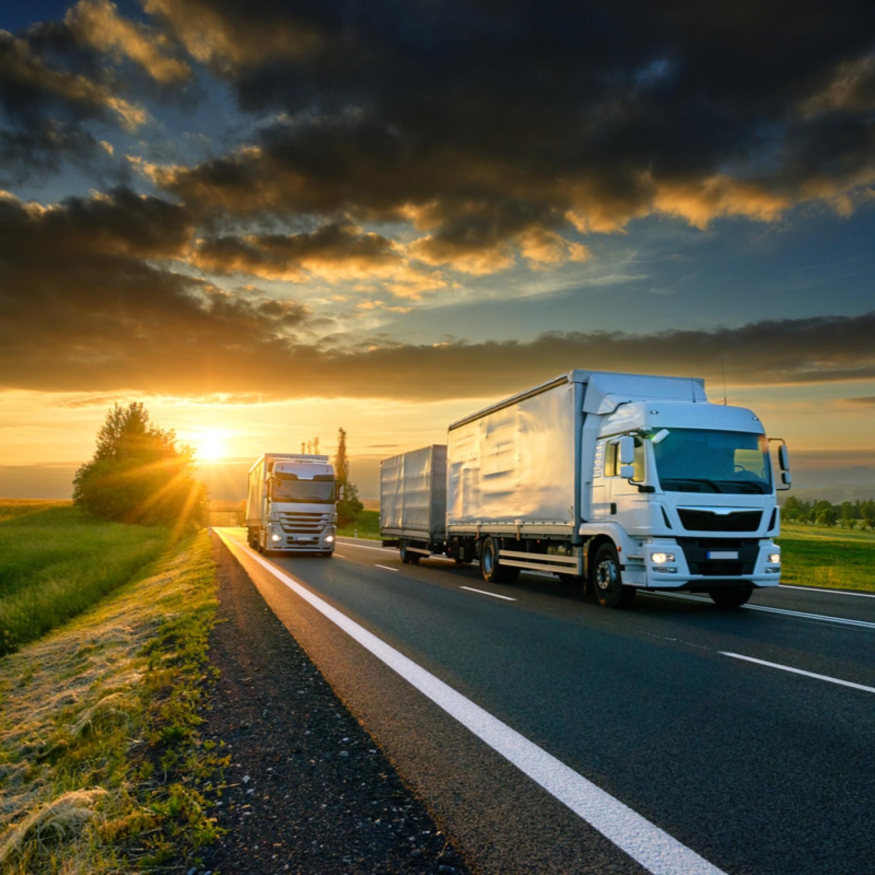 Qld Based Nationally Adaptable 577342 3