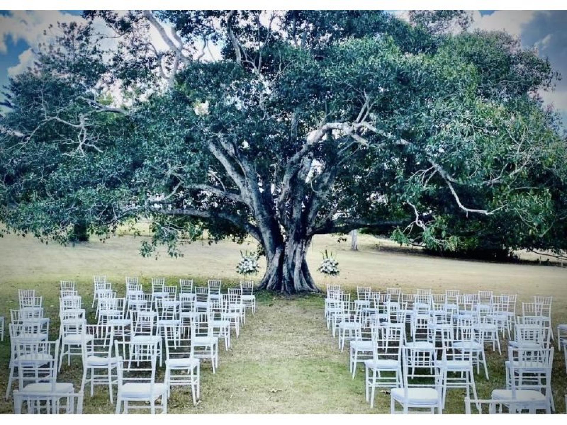 Party & Event Hire 663725 2