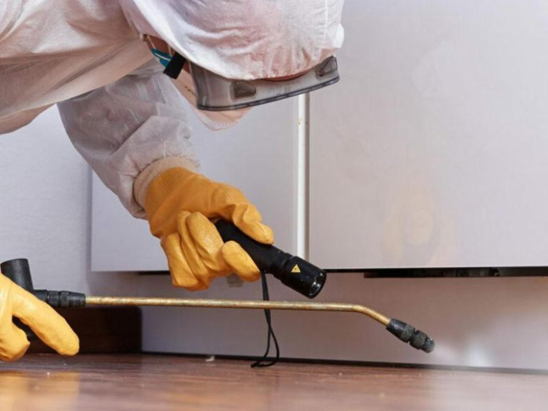 Fullservice Pest Control Business for sale in Perth Western
