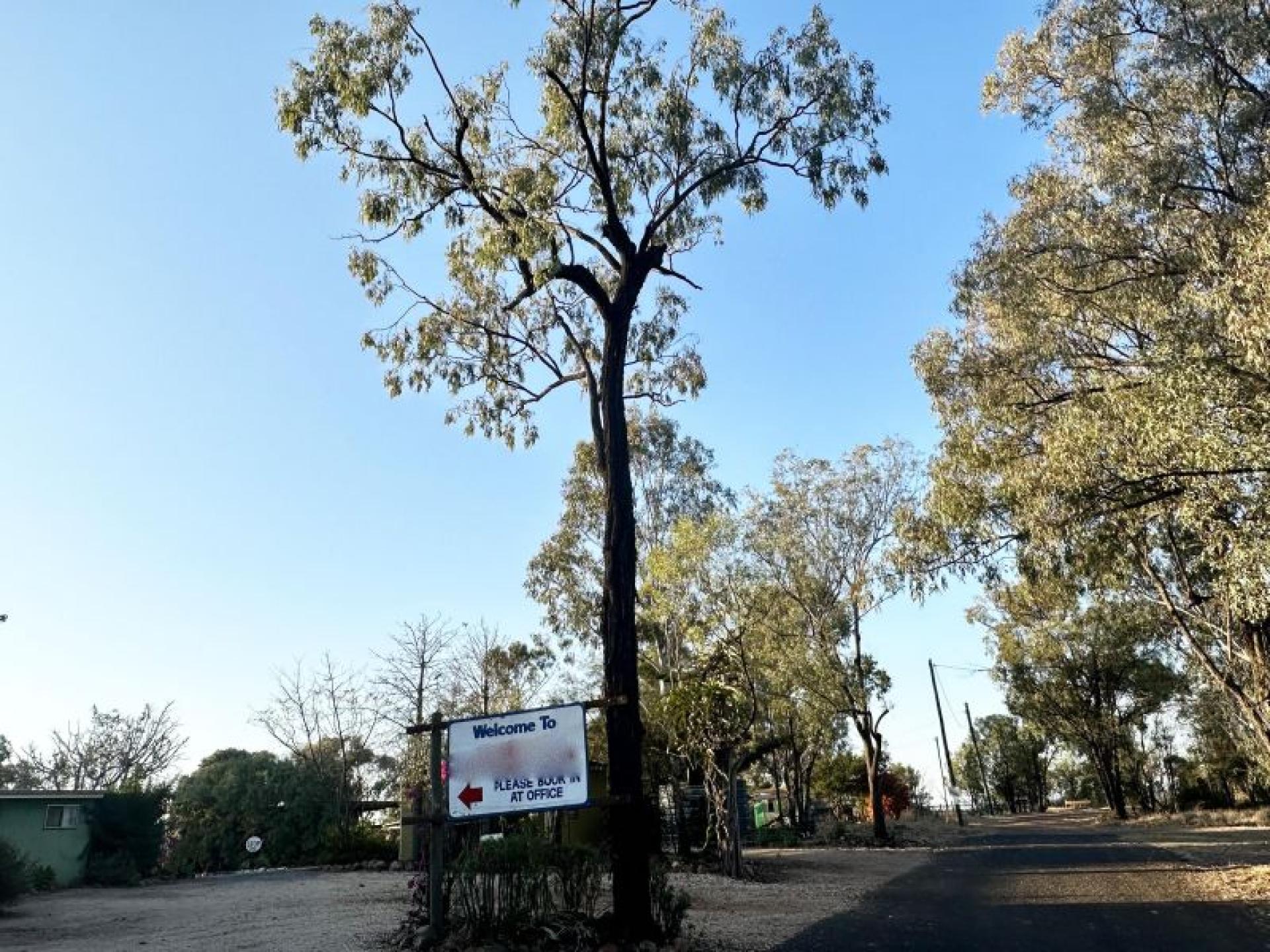 Multifaceted Freehold Outback Caravan Park... for sale in Willows