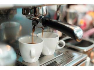 Cafe Business Opportunity