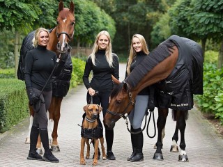 ONLINE Business for Horses, Dogs and People.