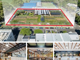 Camperdown Commons, Camperdown