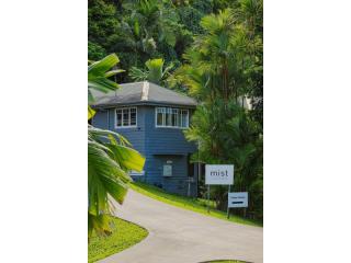 Daintree Rainforest Luxe Eco Lodge For Sale