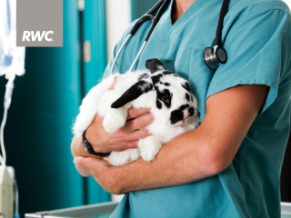 Rare Opportunity to Secure a Respected Regional Vet Business