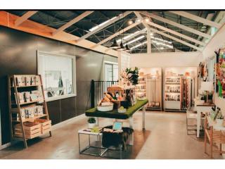 UNDER OFFER - Dog Grooming, Daycare and Boutique Shop – Queanbeyan, NSW