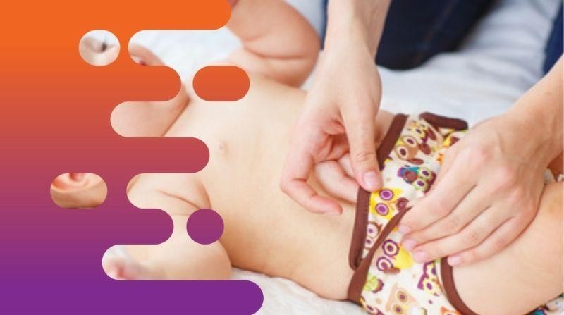 35480 Established Online Retail 662424 1