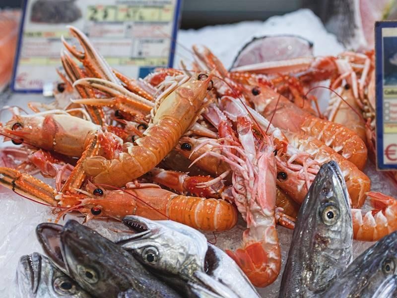 Seafood Wholesaler With Retail Outlet 800k+ Profit for sale in Sydney