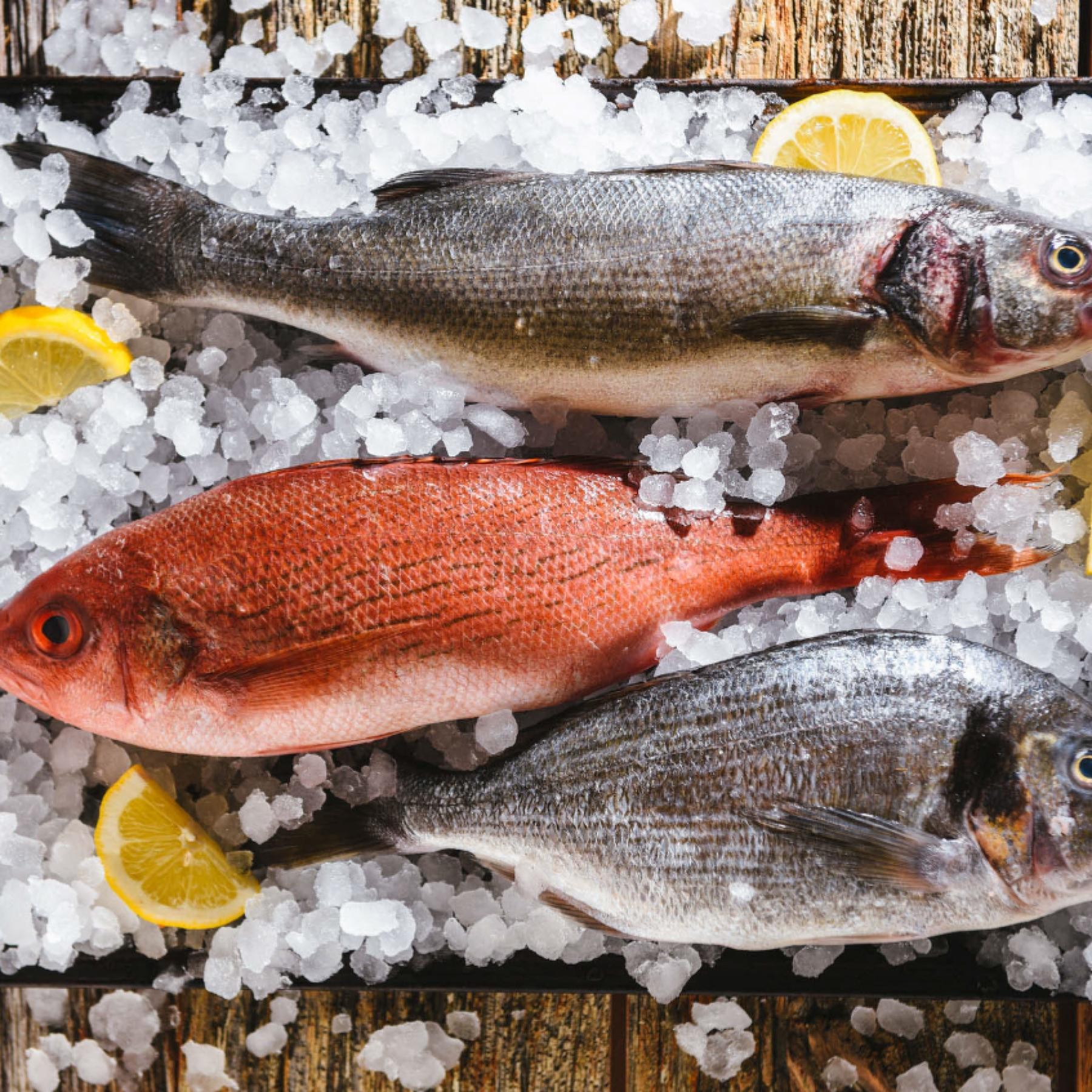 " Fresh Seafood Retail 670984 1