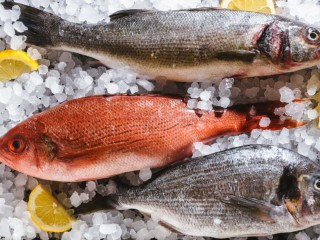 " FRESH SEAFOOD RETAIL OPPORTUNITY - VICTORIA "