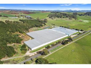 Hydroponic Vegetable Crop Farm - Land, Buildings & Machinery