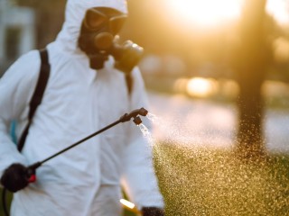 Bruin Pest Management