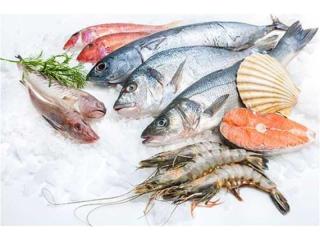 Fresh Food Processor/Distributor