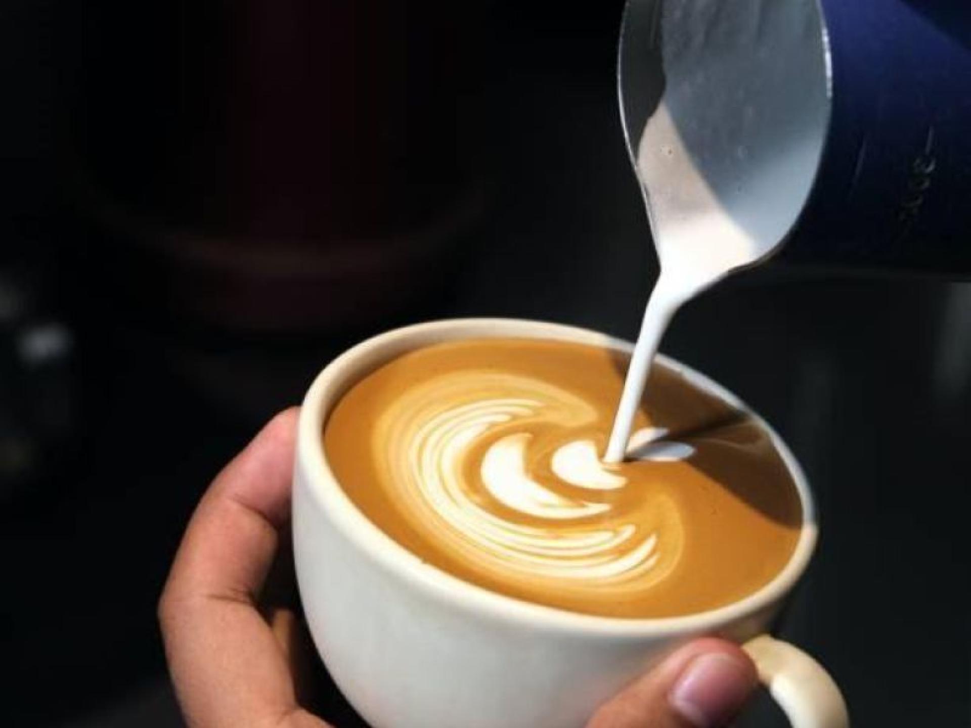 Perfect First Business South Canberra... for sale in City Australian